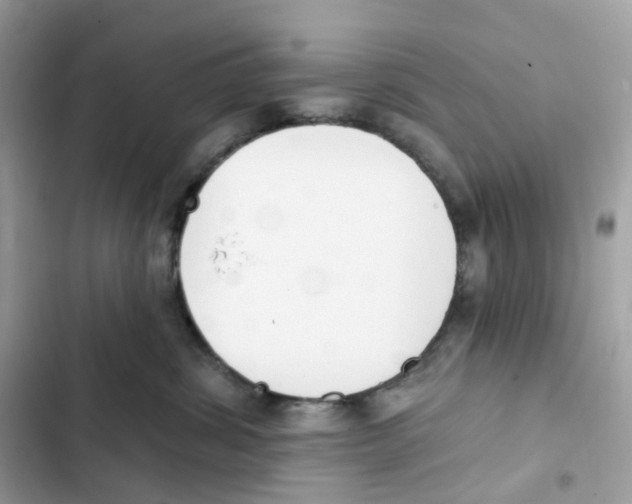 X0000102000428200808151451