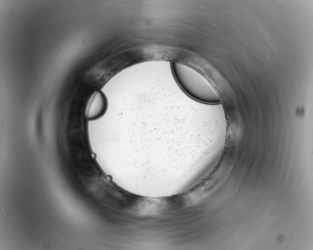 X0000102000429200808151451