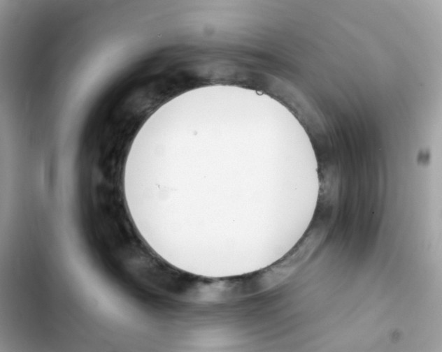 X0000102000430200808151451