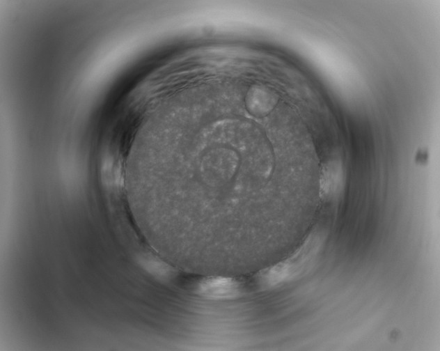 X0000102000431200808151451