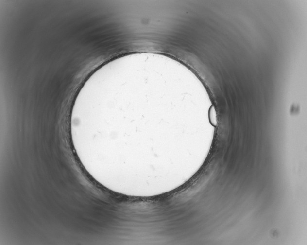 X0000102000433200808151450