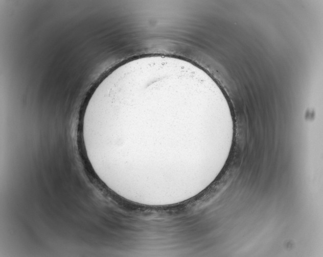 X0000102000434200808151451