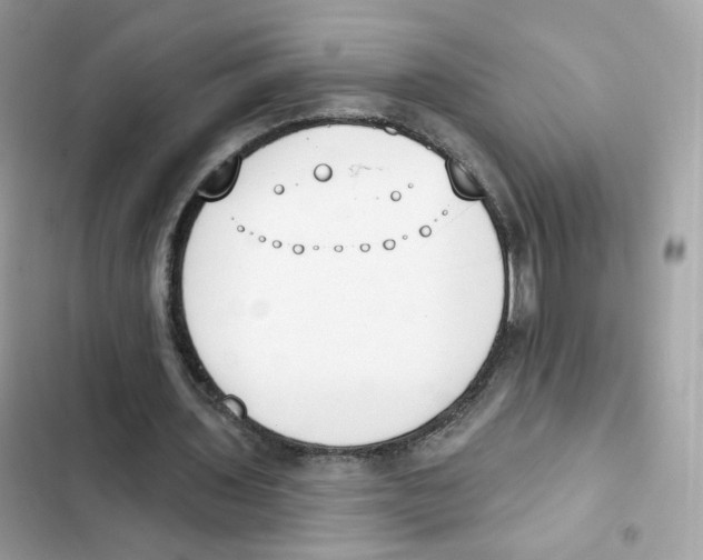 X0000102000435200808151451