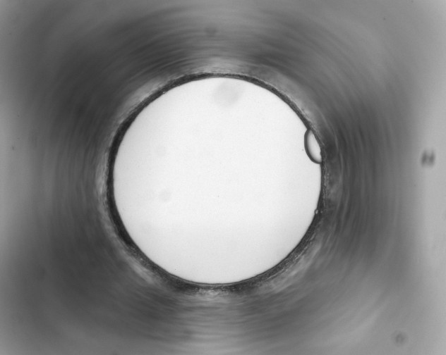 X0000102000437200808151451