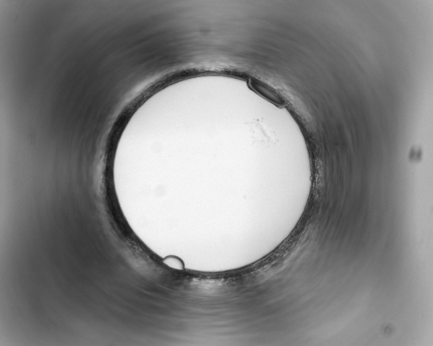 X0000102000440200808151451