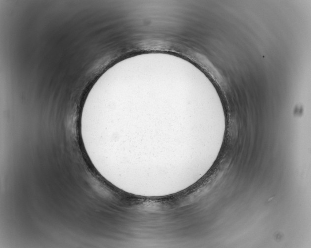 X0000102000441200808151451