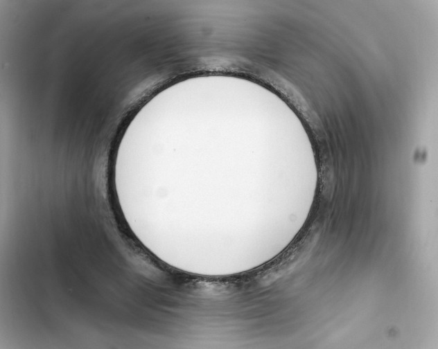 X0000102000442200808151451