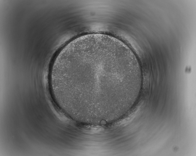 X0000102000443200808151451