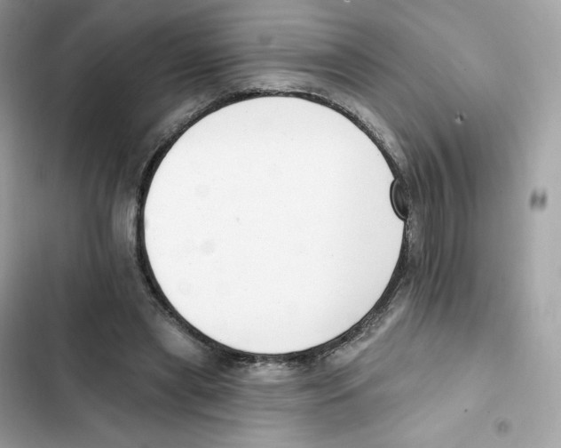 X0000102000445200808151451