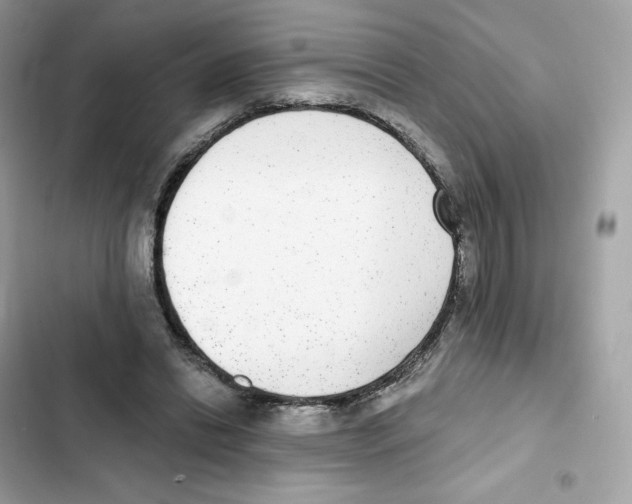 X0000102000446200808151451