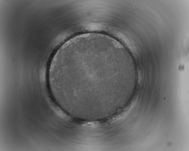 X0000102000447200808151451