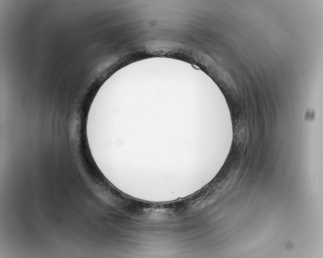 X0000102000448200808151451