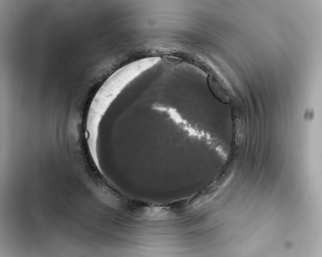 X0000102000451200808151451