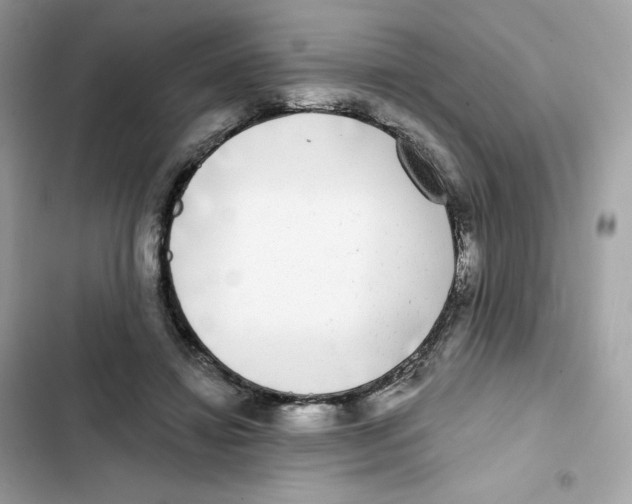 X0000102000452200808151451