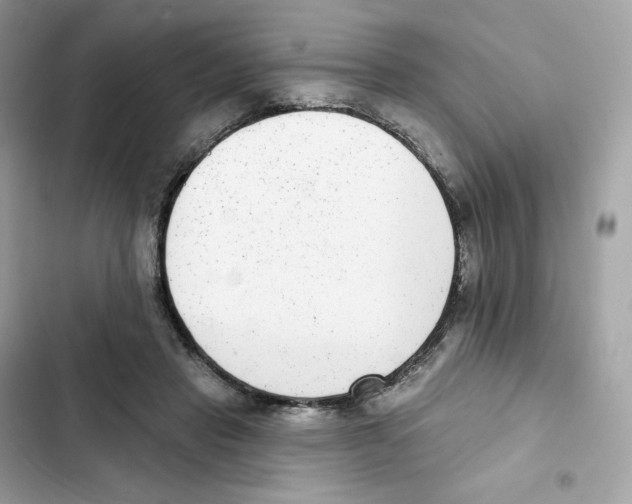 X0000102000453200808151451