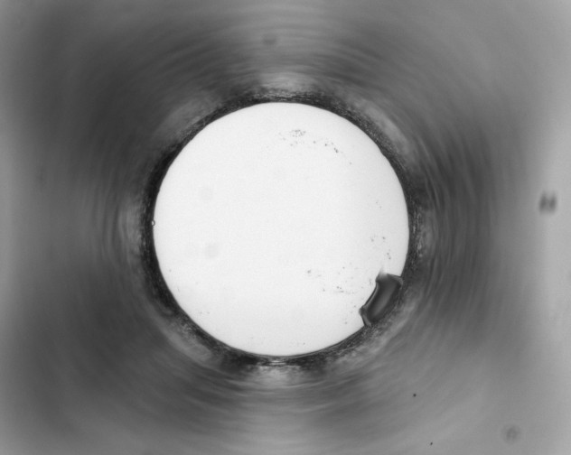 X0000102000455200808151451