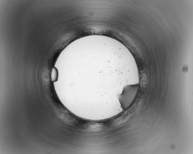 X0000102000456200808151451