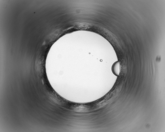 X0000102000460200808151451