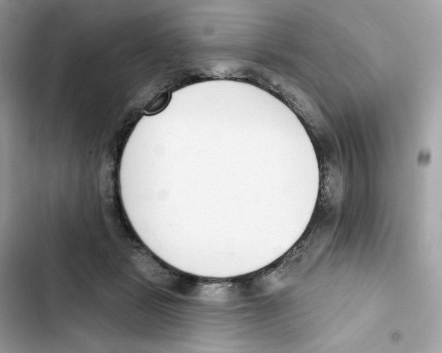 X0000102000461200808151451