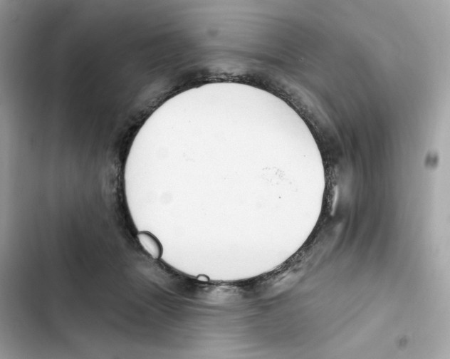 X0000102000463200808151451