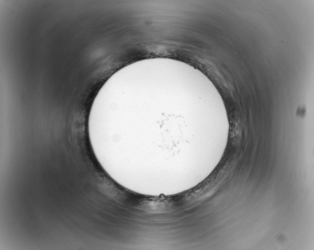 X0000102000466200808151451