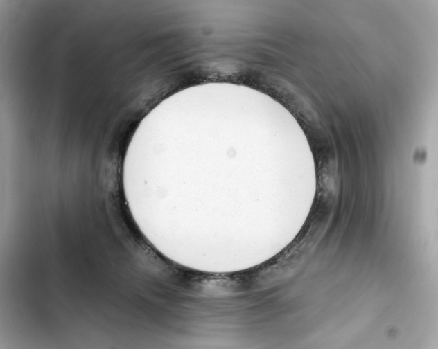 X0000102000468200808151451