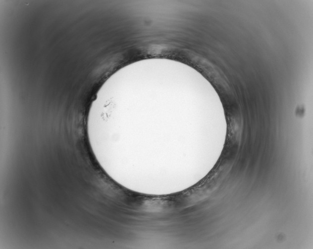 X0000102000470200808151451