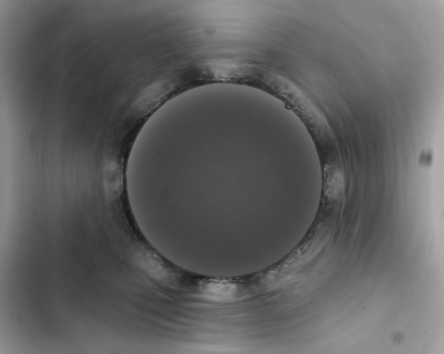 X0000102000471200808151451