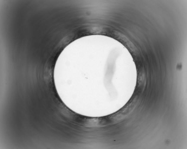 X0000102000473200808151451