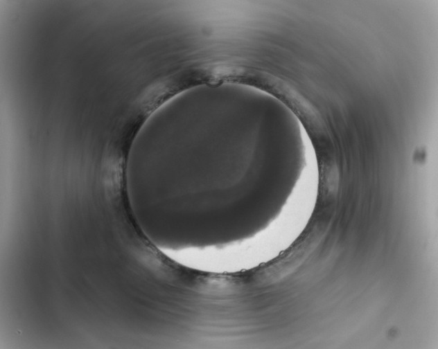 X0000102000475200808151451