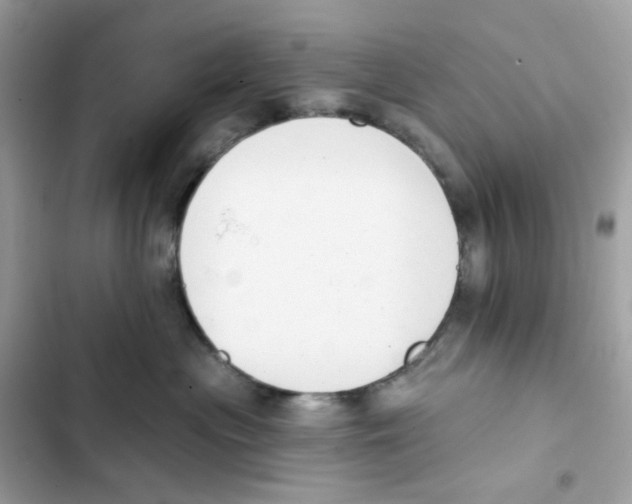 X0000102000477200808151451