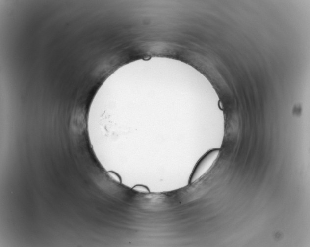 X0000102000478200808151451