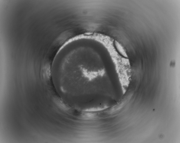 X0000102000479200808151451