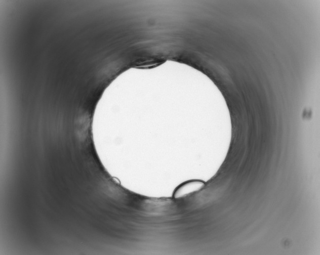 X0000102000480200808151451