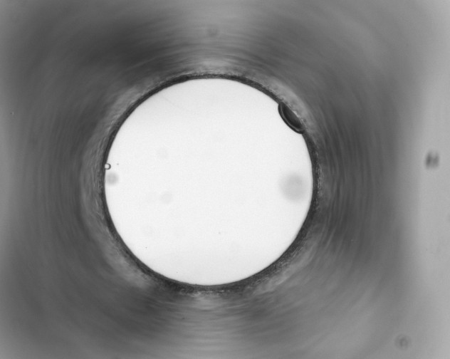 X0000102000481200808151450