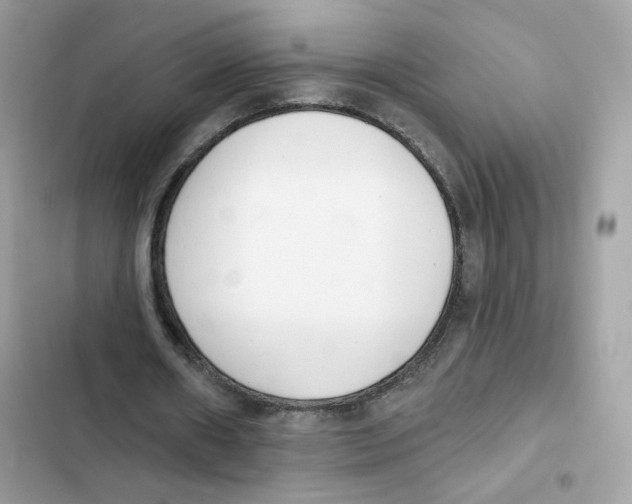 X0000102000482200808151450