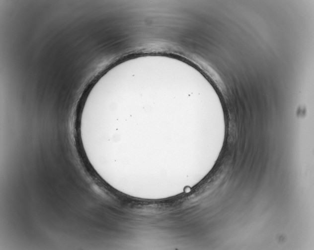 X0000102000485200808151450