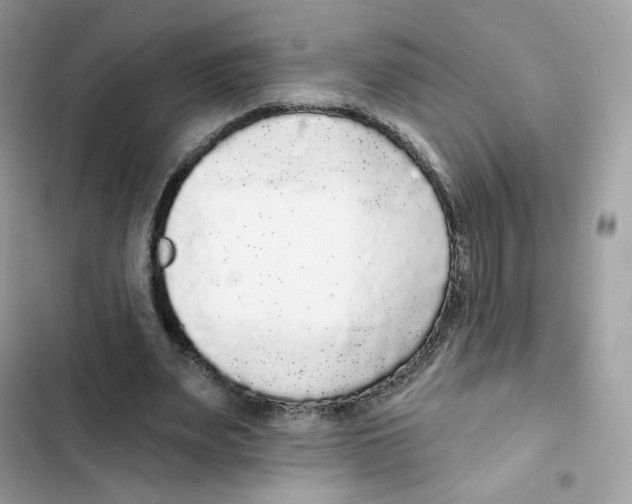 X0000102000487200808151450