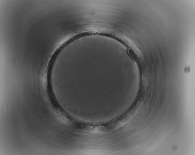 X0000102000488200808151450