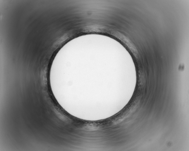 X0000102000489200808151450