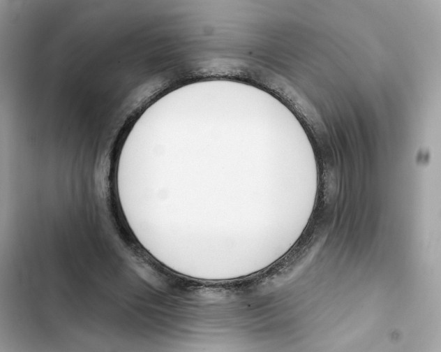 X0000102000490200808151450