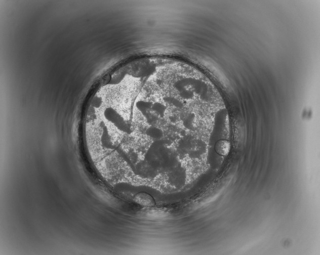 X0000102000491200808151450