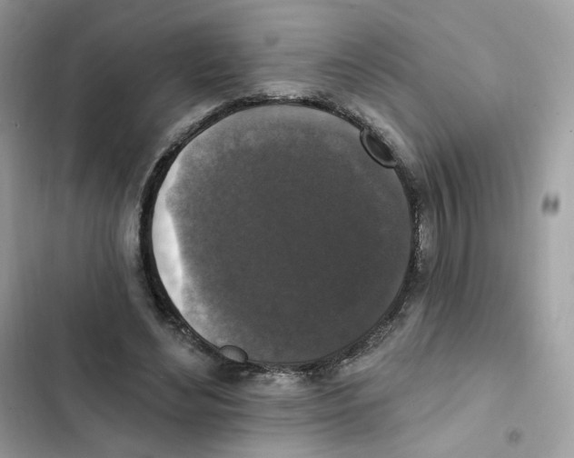 X0000102000492200808151450