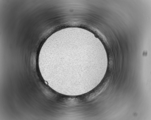 X0000102000493200808151450