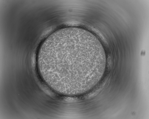 X0000102000494200808151450