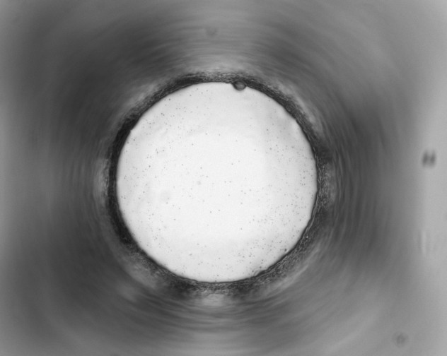 X0000102000495200808151450