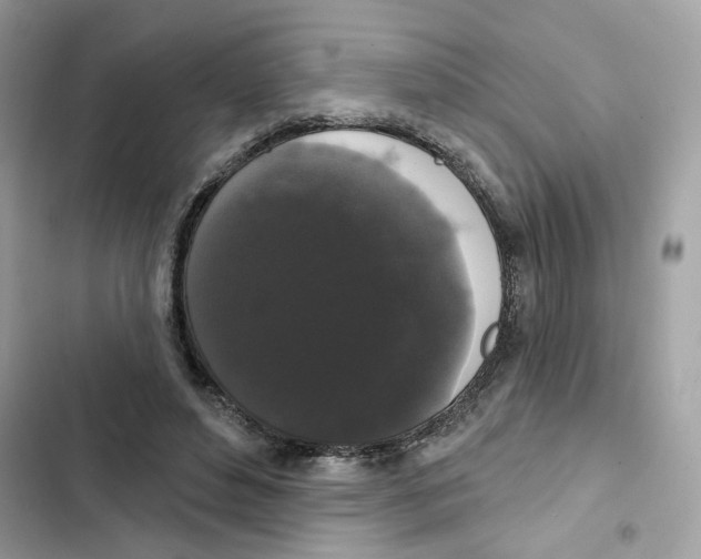 X0000102000496200808151450