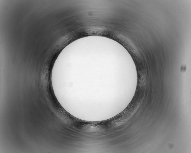 X0000102000498200808151450