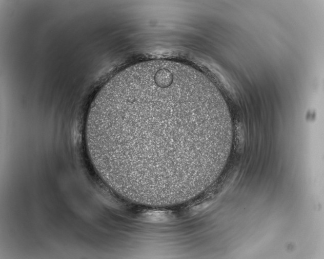 X0000102000499200808151450