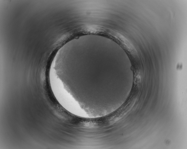 X0000102000500200808151450